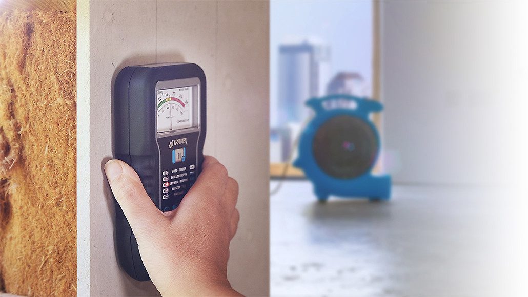 Moisture meter inspection of water-damaged wall